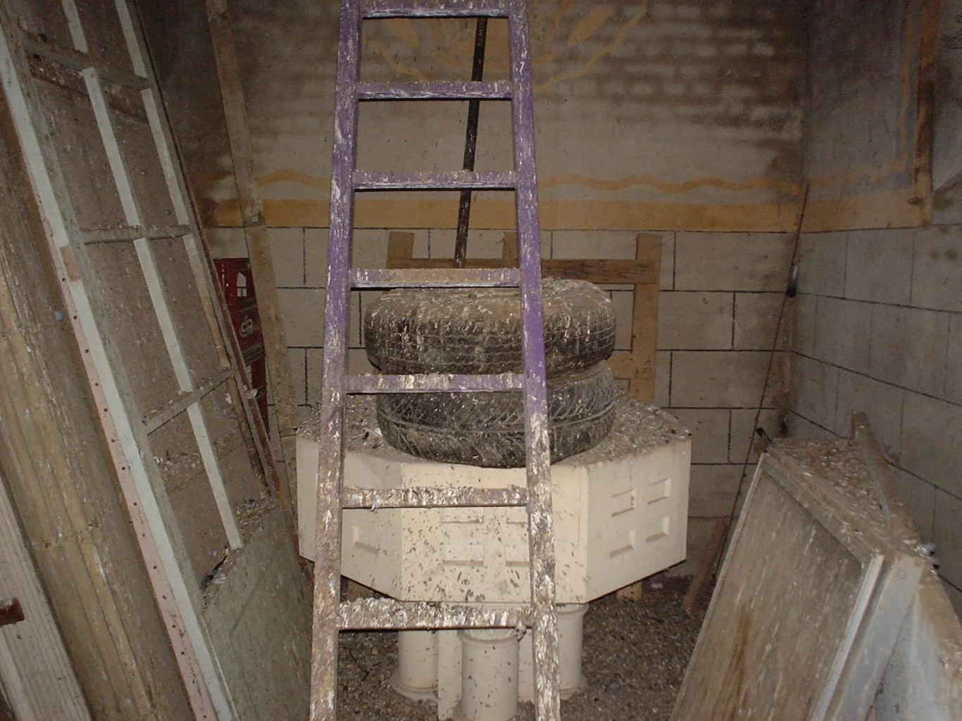 Los años de abandono — imagen 3