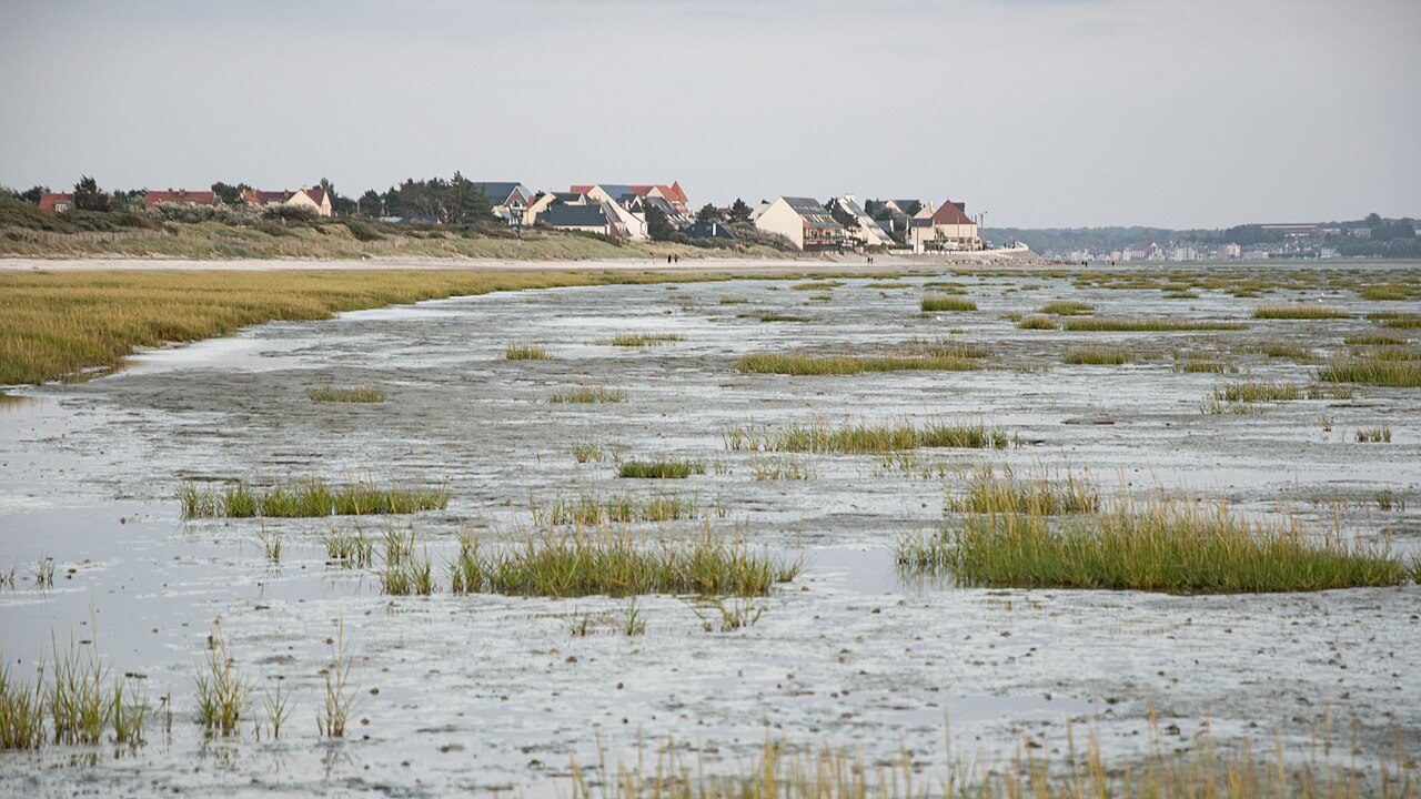 La bahía del Somme con marea baja